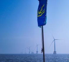 浙江舟山探索省內首個海上風電項目監管“三位”一體新模式
