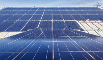 巴勒斯坦最大的太陽能光伏項目正在興起