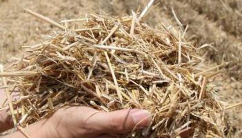 生物質應從傳統利用方式變成資源 “變廢為寶”可以更高效