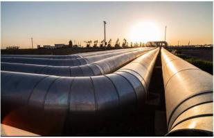 國(guó)家能源局綜合司關(guān)于開展油氣管網(wǎng)設(shè)施公平開放信息公開和信息報(bào)送專項(xiàng)督查工作的通知