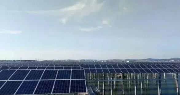 晶澳海外業務增長迅速 巴西、馬來西亞光伏電站均采用其高效單晶PERC組件