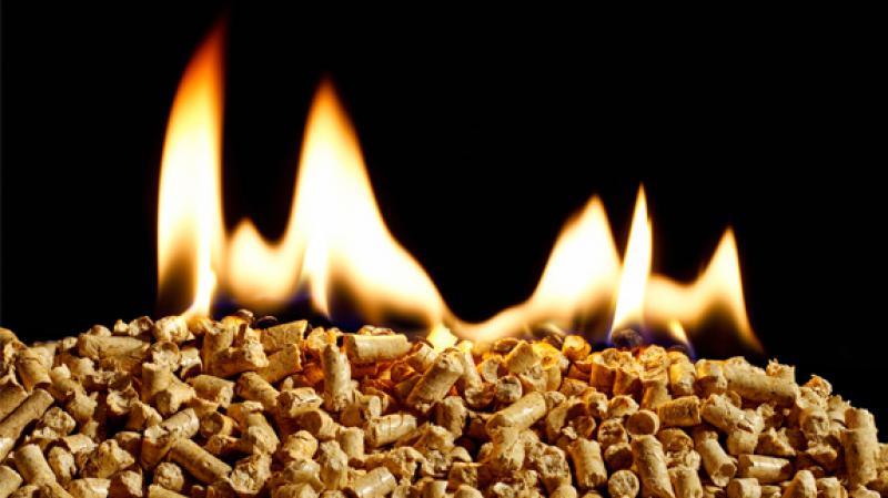 波斯尼亞和黑塞哥維那利用生物質(zhì)能鍋爐組成的可再生能源發(fā)電廠