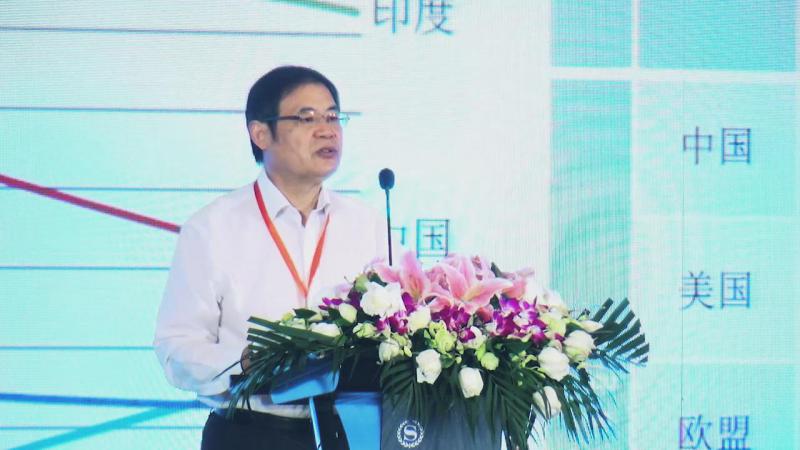 潘家華：能源轉(zhuǎn)型的進(jìn)程與愿景