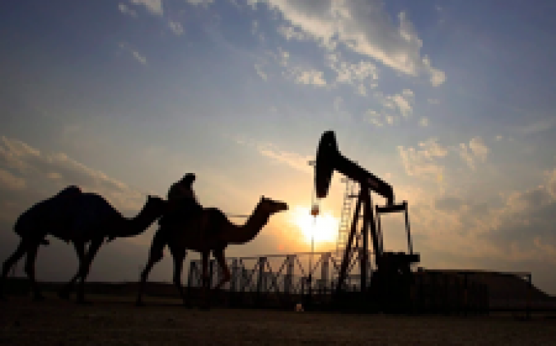 能源經濟學家表示，沙特阿拉伯原油進口到加拿大很容易取代