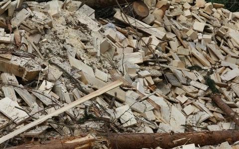 克羅地亞建造兩個生物質燃料熱電聯產工廠