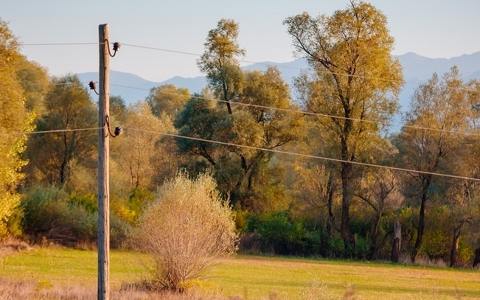為振興黑山配電網絡，CEDIS將在分銷網絡上投資8160萬歐元