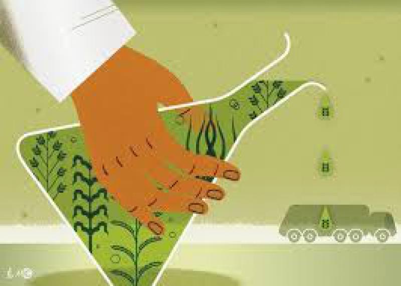 韓國(guó)7月份乙醇進(jìn)口量環(huán)比下降41%