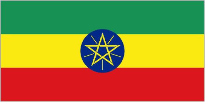 埃塞俄比亞能源政策框架與戰略