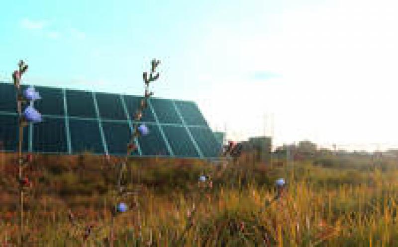 太陽能和能源存儲(chǔ)在印第安納州贏得大獎(jiǎng)