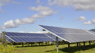 荷蘭銀行ING幫助立陶宛人在波蘭的太陽(yáng)能農(nóng)場(chǎng)融資